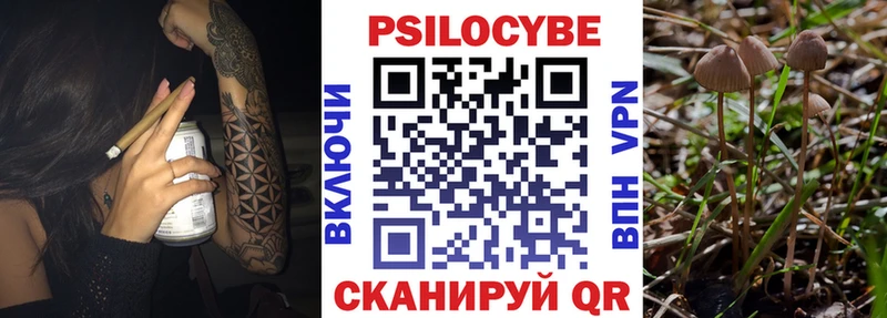 Галлюциногенные грибы MAGIC MUSHROOMS shop телеграм Лесной